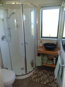 Cape FoulwindOkari Cottage的带淋浴、卫生间和盥洗盆的浴室
