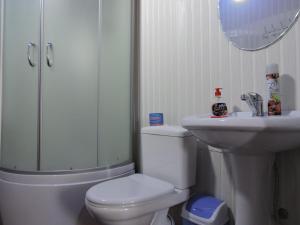 乔尔蓬阿塔Inn Kochevnik的浴室配有卫生间、盥洗盆和淋浴。