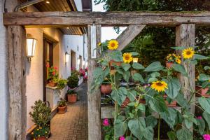 布伦Gasthof im Almetal的花园内带向日葵的木拱门