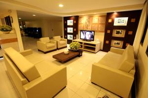 阿拉卡茹圣曼努埃尔普拉亚酒店的带沙发和平面电视的客厅