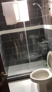 圣弗朗西斯科德马科里斯SFMverdana Rental的一间带卫生间和玻璃淋浴间的浴室