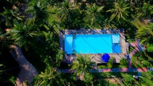 里维埃拉度假酒店内部或周边泳池景观