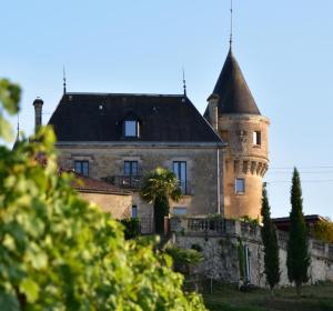 Bourg-sur-Gironde德拉格雷夫城堡住宿加早餐旅馆的一座古老的城堡,上面有一座塔