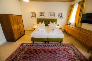雷根斯堡Hotel Luis Stadl的一间卧室配有一张床、一台电视和一张地毯。