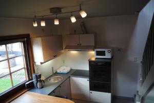 Asse't Huizeke的一间带水槽和微波炉的小厨房