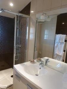 圣让-德吕兹贝尔艾尔酒店的浴室配有白色水槽和淋浴。