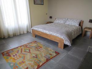 特雷伊索圣斯特凡内托度假别墅酒店的卧室配有一张床,地板上铺有地毯