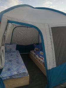 克里尚Camping Casuta Mihaela的相册照片