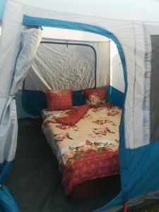 Camping Casuta Mihaela客房内的一张或多张床位