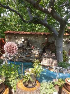 斯塔多伊兰Vila Teodora的一座带房子和树的小型花园