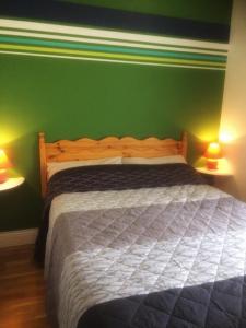 戈特Naomh Colman B&B的一间卧室配有一张带绿色墙壁的床