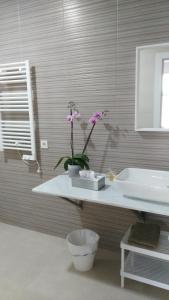 塞维利亚Casa Oliva 52的浴室设有水槽和鲜花浴缸。