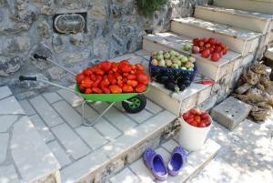 特斯特诺Three oranges的手推车,西红柿和其他水果蔬菜在台阶上