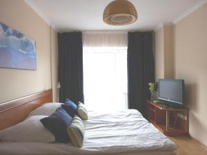 克雷尼察Apartament Grażyna的一间卧室设有一张带电视和窗户的床。