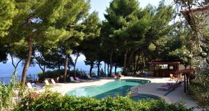阿菲托斯Evripidis Hotel的树木繁茂的度假胜地的游泳池