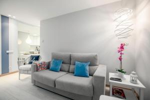 圣塞瓦斯蒂安Ondarreta Beach Apartment con parking free y Aire acondicionado的客厅配有带蓝色枕头的灰色沙发