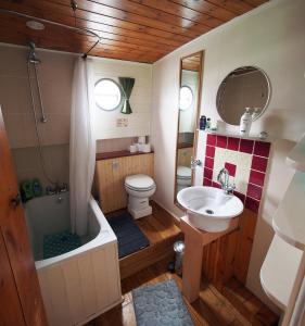 SallinsRoisin Dubh Houseboat的一间带水槽、浴缸和卫生间的浴室