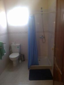 Tan-Tan PlageHotel Canarias Sahara的浴室设有卫生间和带蓝色淋浴帘的淋浴。