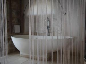 Grilly卢米埃尔日内瓦酒店的带浴缸和淋浴帘的浴室
