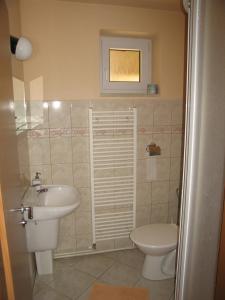 布赫洛维采Penzion Lázeňský dům的一间带卫生间和水槽的浴室