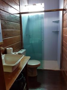 Careiro亚马逊金龙鱼小屋旅馆的浴室配有卫生间、盥洗盆和淋浴。