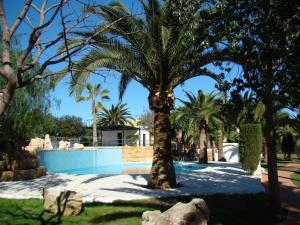 卡拉米洛Club Simó的庭院里的棕榈树,设有游泳池