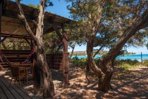 维琪奥港莫比迪克度假屋的树屋,带吊床和两棵树