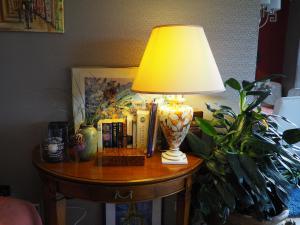 明斯特Golden Treasure Deluxe的植物旁边的桌子上的灯