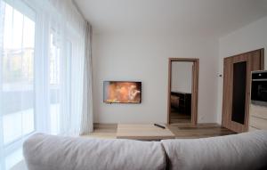 比尔森Sunny, fully furnished Studio type with terrace的带沙发和大窗户的客厅