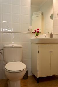 阿雷西费Felisa Center的一间带卫生间、水槽和镜子的浴室