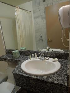 布鲁克林布鲁克林红地毯酒店的一间带水槽、卫生间和镜子的浴室