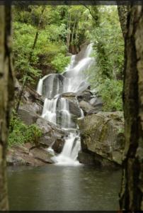 纳瓦孔塞霍Rincón del Valle del Jerte的河中瀑布