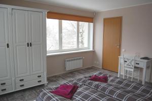 塔林Kaunis Guesthouse的一间卧室配有一张床、一张书桌和一个窗户。