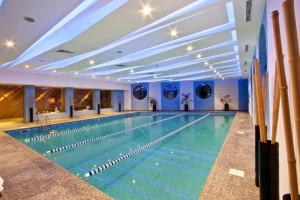 索非亚维托沙公园酒店的拥有蓝色墙壁的酒店游泳池