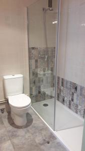 雷诺萨维约酒店的一间带卫生间和淋浴的浴室