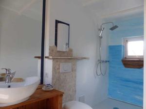 岑平Sommeridyll Zempin的一间带水槽、卫生间和淋浴的浴室