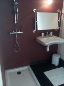 米济亚克彭穆尔客栈的一间带水槽和淋浴的浴室