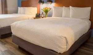 焦点SFO酒店客房内的一张或多张床位