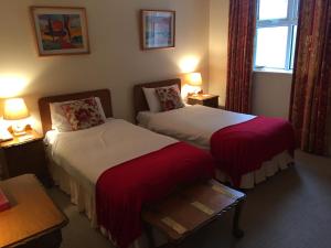 克洛纳基尔蒂O'Donovan's Hotel的酒店客房设有两张床和窗户。