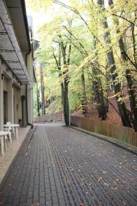 索波特hostel leśny的建筑一侧带长凳的砖砌走道