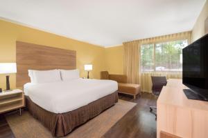 华盛顿华盛顿特区北温德姆花园酒店的配有一张床和一台平面电视的酒店客房
