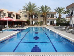 帕福斯安娜酒店公寓的棕榈树酒店的一个游泳池
