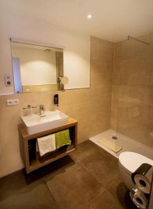 鲁波尔丁Hotel Alp Inn的一间带水槽、卫生间和镜子的浴室