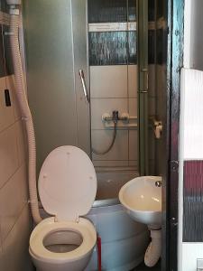 克拉多沃Apartmani Filipovic的一间带卫生间和水槽的浴室