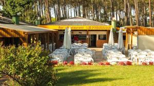 波讷地区圣朱利安Les dunes de contis- landes的一群椅子和遮阳伞在餐厅前