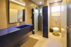 弗洛里亚诺波利斯克里斯酒店的一间带卫生间、水槽和镜子的浴室