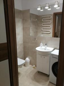 格但斯克Domek przy lesie的一间带水槽、卫生间和镜子的浴室