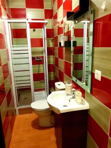 波尔图Oporto Cozy Studio的一间带卫生间和水槽的浴室