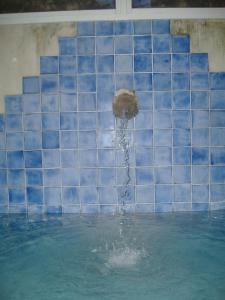 坎内托阿尔伯格卡萨加恩卡精品酒店的蓝色瓷砖游泳池中的喷泉