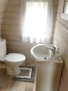基尔肯尼Carrigeen Glamping的一间带卫生间和水槽的浴室
